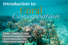 Introduction to Coral Conservation - 10th July 