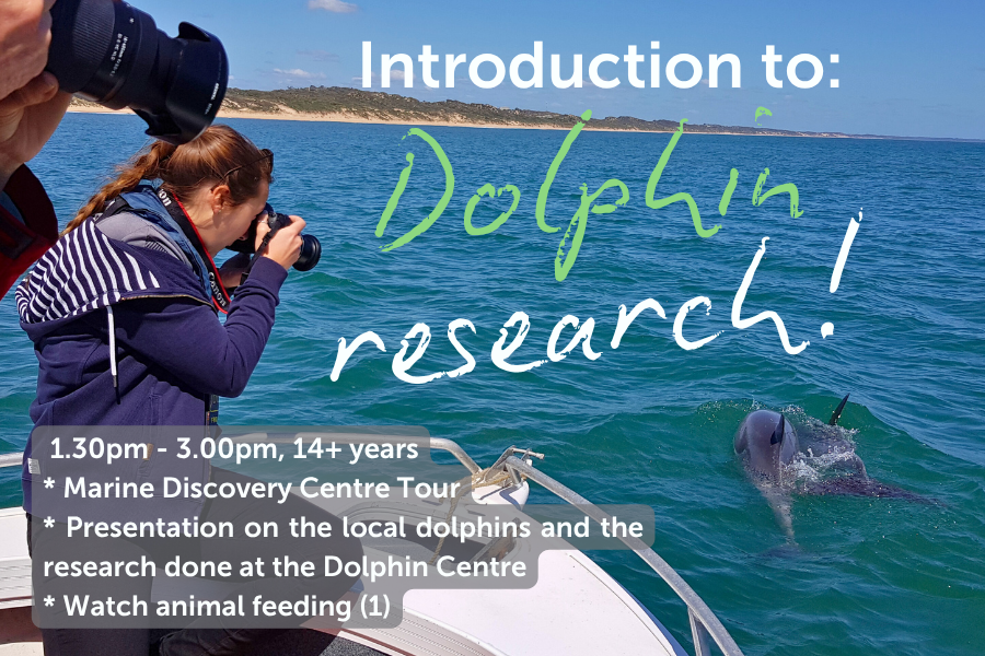 Introduction to Dolphin Research - 15th July