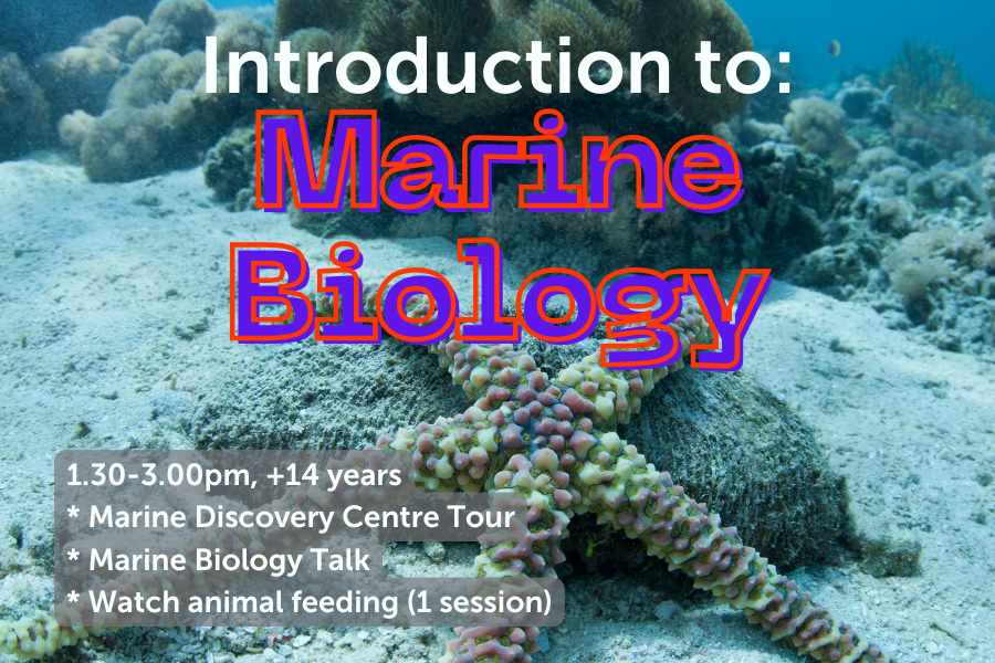Introduction to Marine Biology - 8th July
