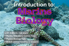 Introduction to Marine Biology - 8th July 