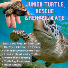 Junior Turtle Rescue & Rehabilitate, Specialised Activity 4hrs, Thu 9th or 23rd January 2025