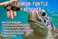 Junior Turtle Rescuer - 11th July