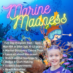 Marine Madness - Full Day, Mon 6th or 20th January