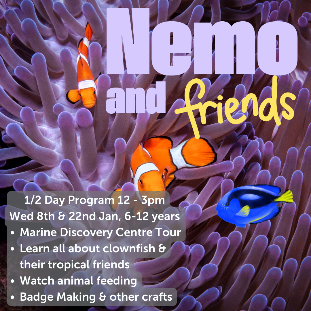 Nemo & Friends, Half Day, 8th or 22nd Jan