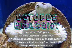 Octopus Biologist - 7th July