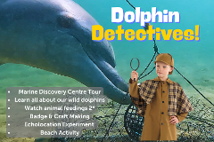 Dolphin Detectives 23rd April 2025 Easter Holiday Program