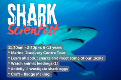 Shark Scientist - 9th July