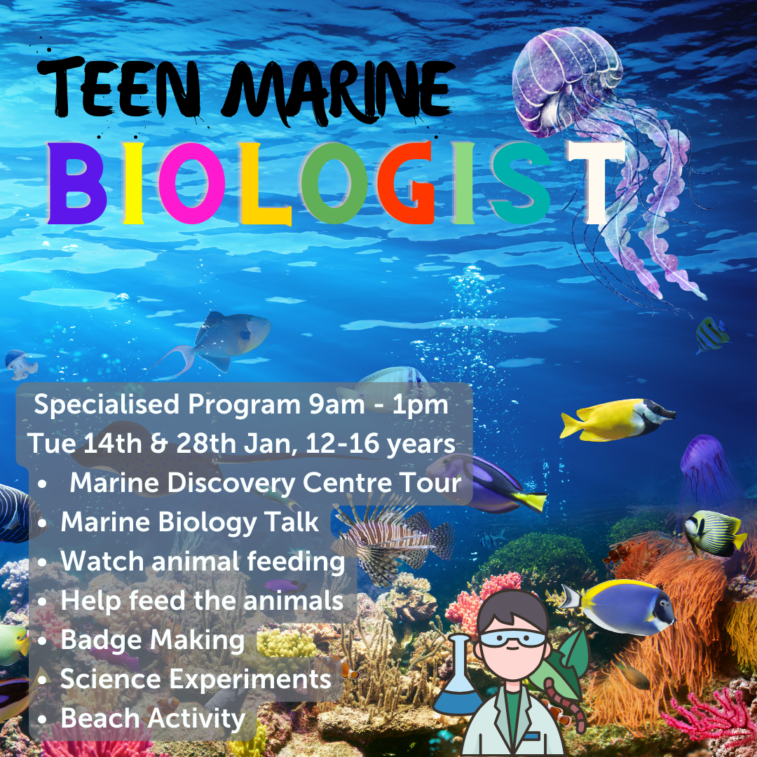 Teen Marine Biologist, Specialised Activity 4hrs, Tue 14th or 28th January 2025