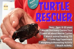 Turtle Rescuer - 8th july