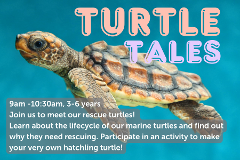 Turtle Tales - 11th July