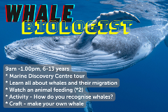 Whale Biologist - 15th July 