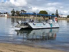 Exclusive Dolphin Eco Cruise 90min
