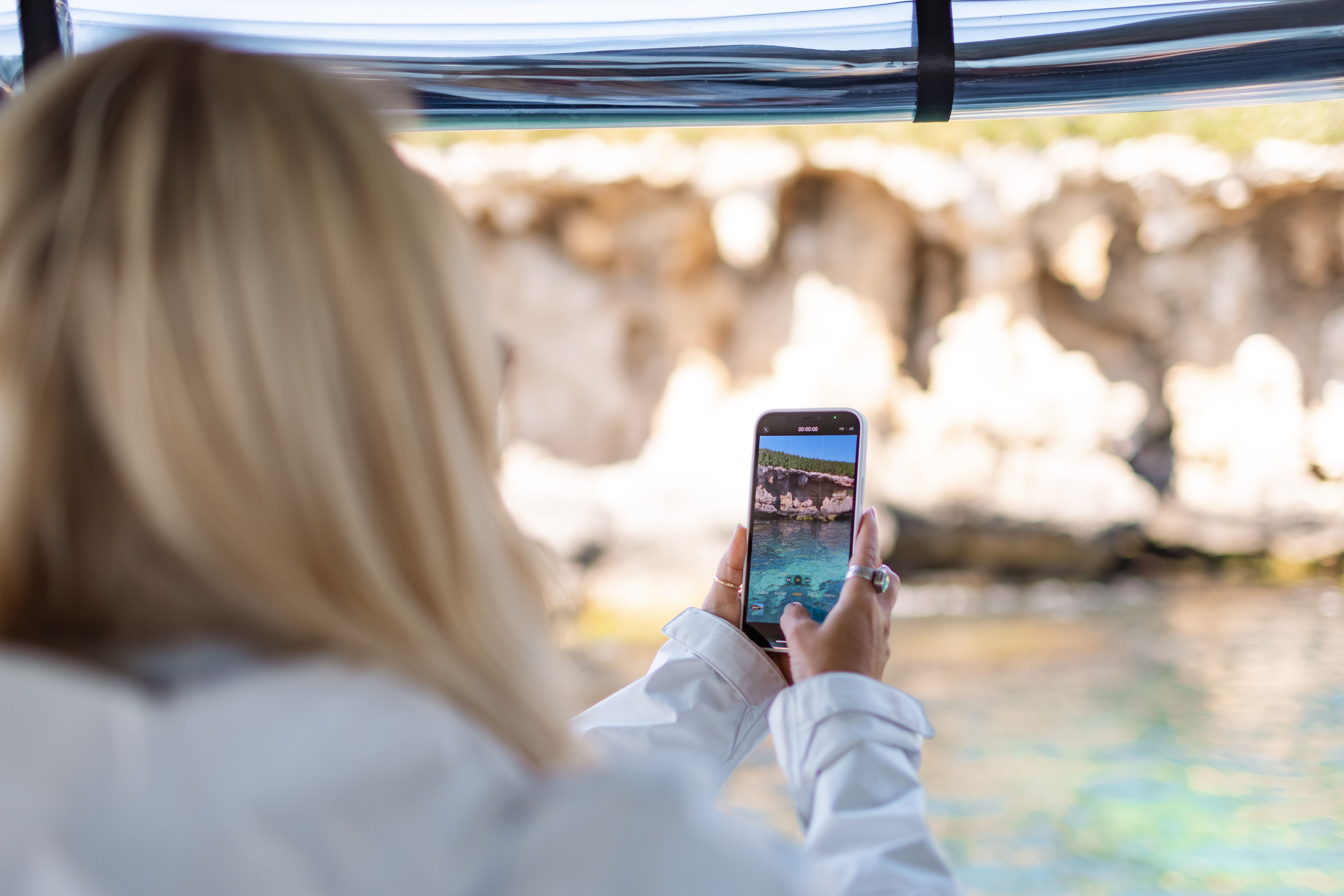 3 Island Snorkel, Wildlife & Seafood Cruise SPECTATOR