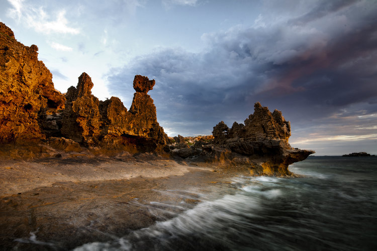 Winter Wildlife Cruise with Fish 'n Chips