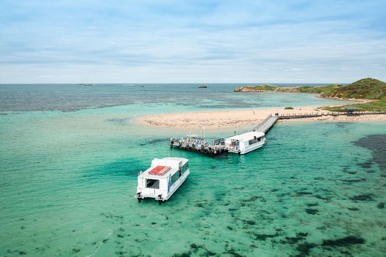 Penguin Island Ferry Transfer (included in cruise cost)