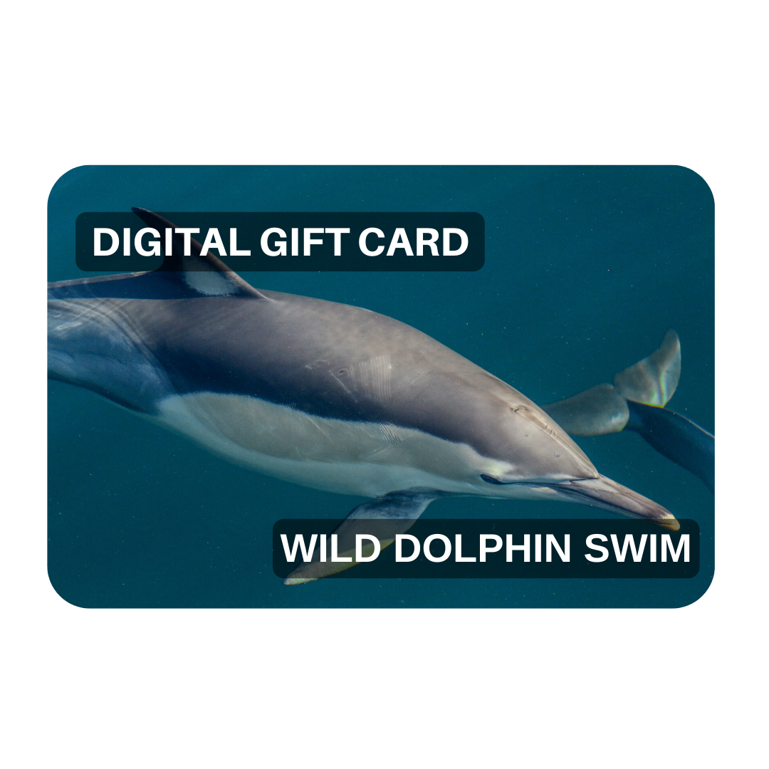 Gift Voucher - Wild Dolphin Swim