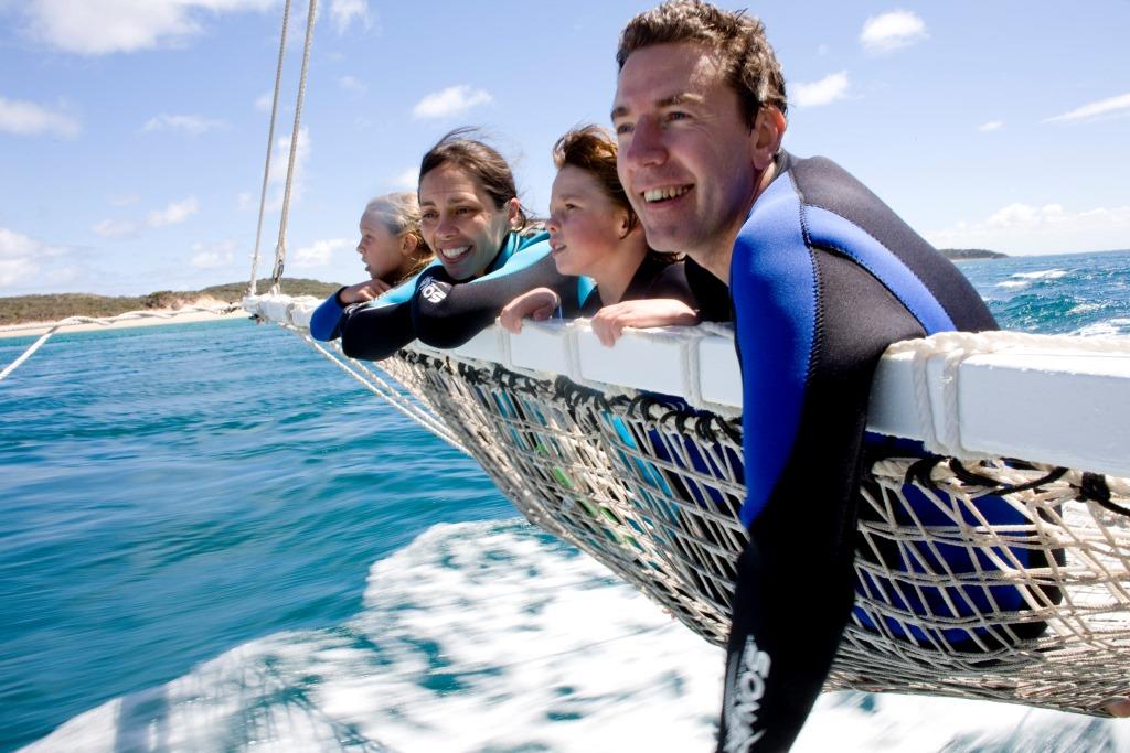 Seal and Dolphin Swim Tours