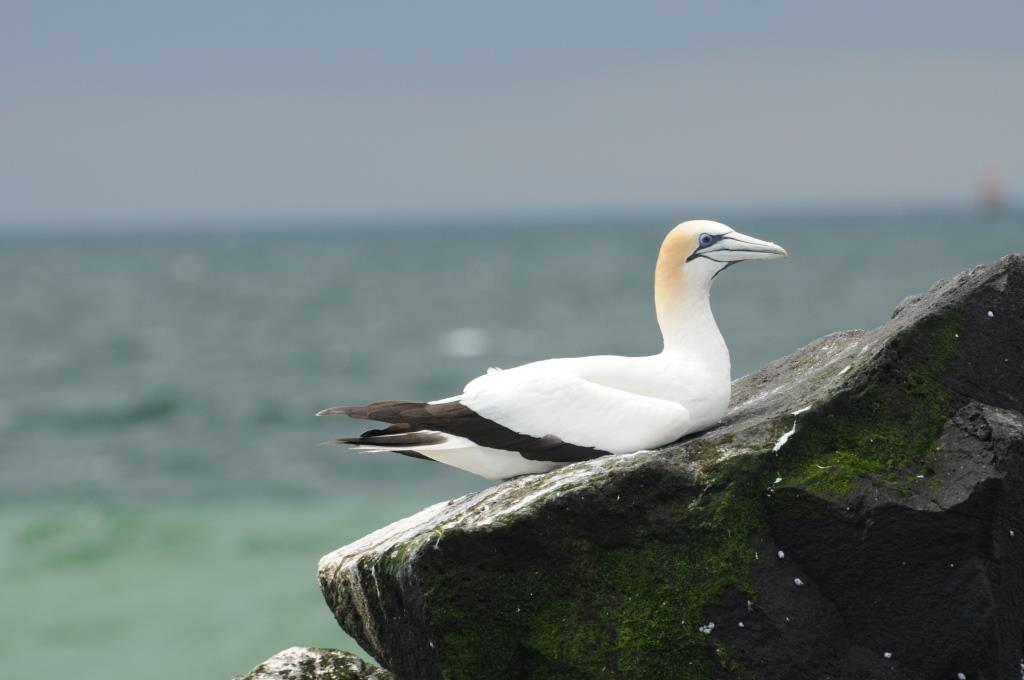 Winter Wildlife Tours