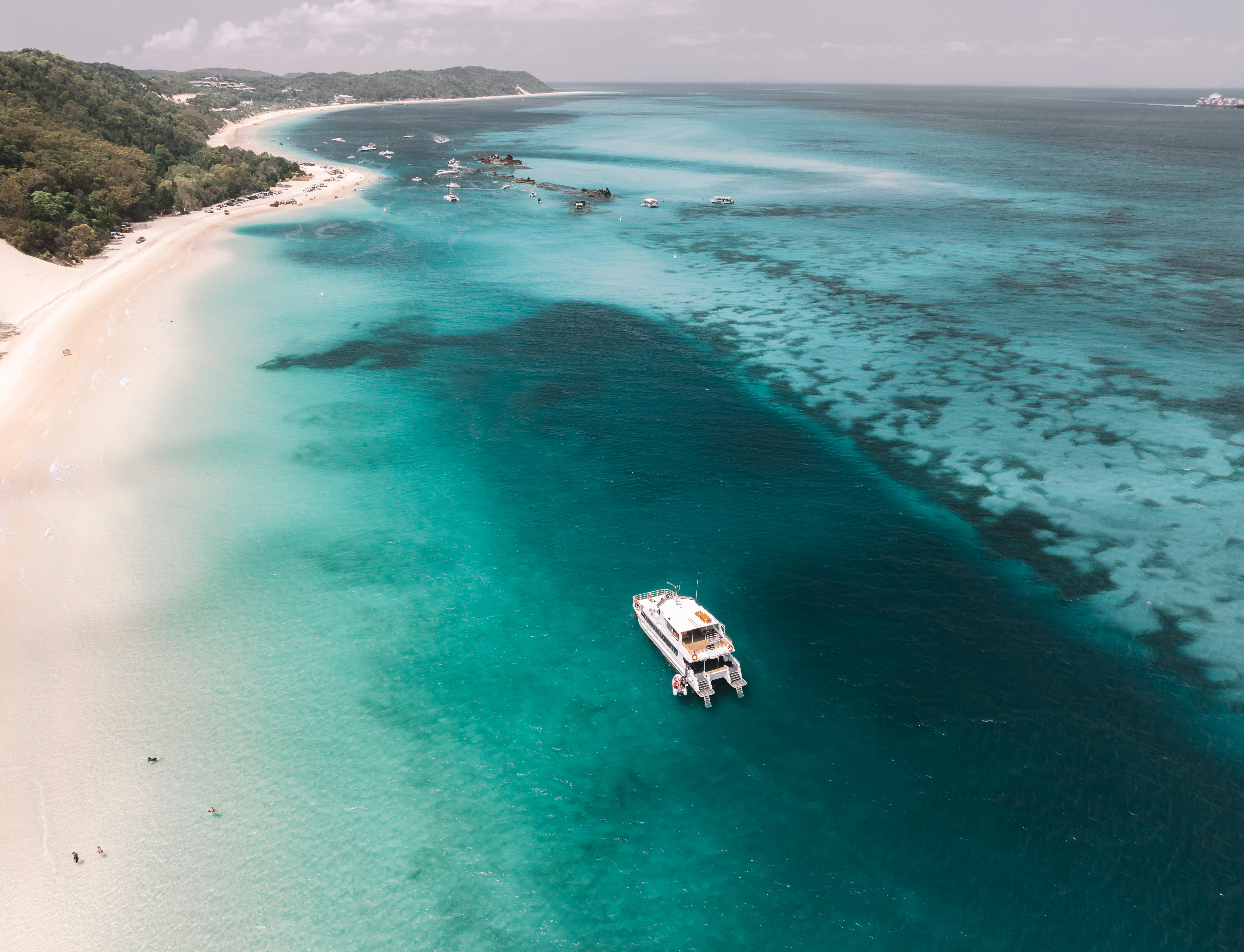 Moreton Island Eco Marine Safari Cruise and Snorkel