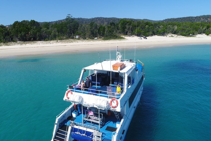 Eco Marine Safari Cruise and Snorkel - Fortitude Valley Transfers