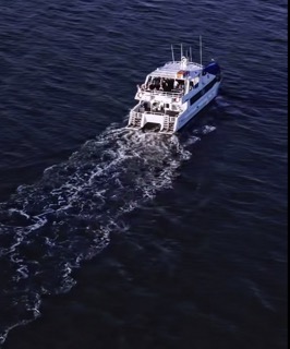 Moreton Bay Sunset Cruise