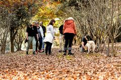 Full Day Truffle Hunt & Winery Tour