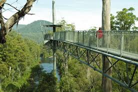 Tahune Air Walk Tasmania Australia