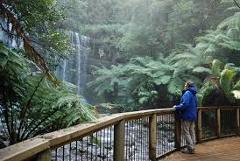 Russell Falls - Bonorong - Salmon Ponds Tour