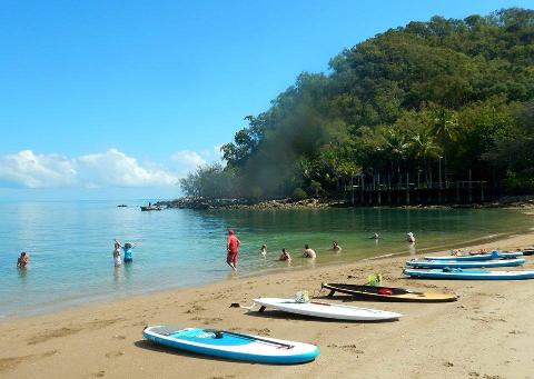 The Paddleboarding Turtle Adventure
