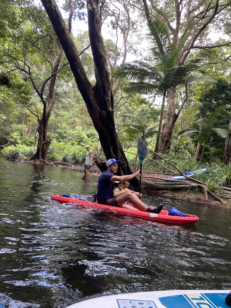 Rainforest Drift