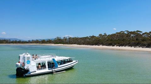 ILE DES PHOQUES / MARIA ISLAND CRUISE & WALK DAY TOUR Tasmania Australia