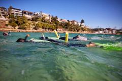 Private Manly Snorkeling Experience: Explore Cabbage Tree Bay