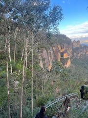 Blue Mountains Private Eco Tour Small Group