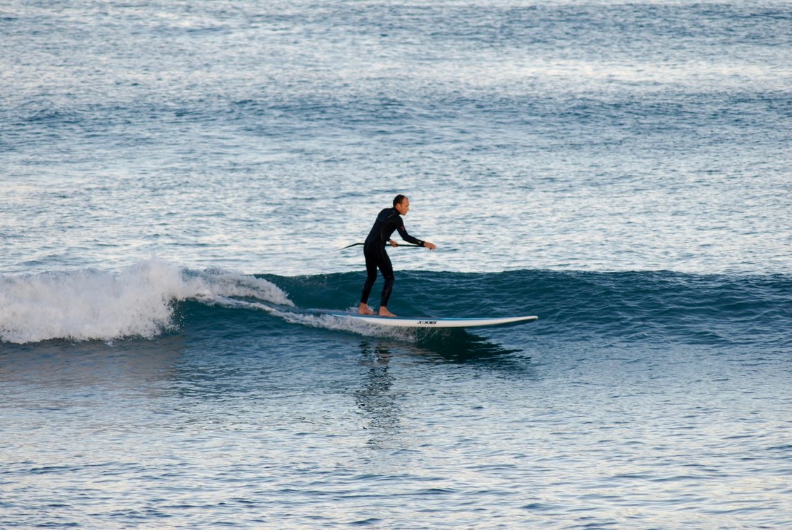 Private Paddle Boarding Lesson and Tours