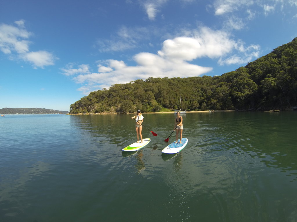 Pittwater Paddle Board Safari