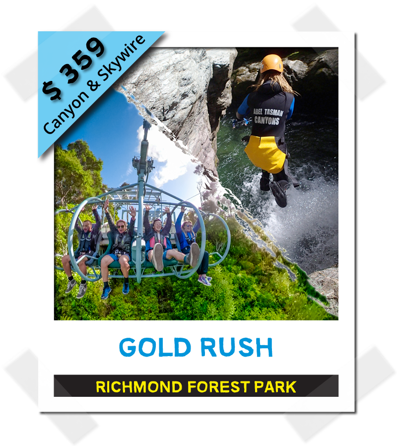 Gold Rush