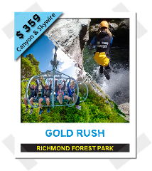Gold Rush