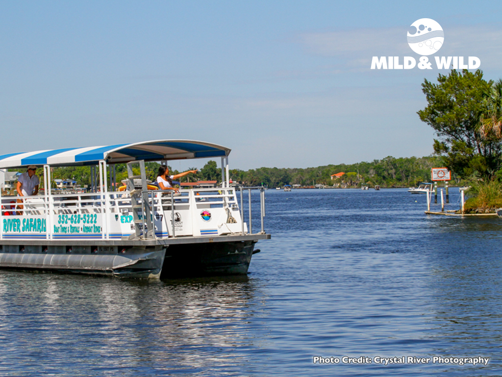 River Ventures | Pontoon Tour | Mermaids & Manatees - From the Springs ...