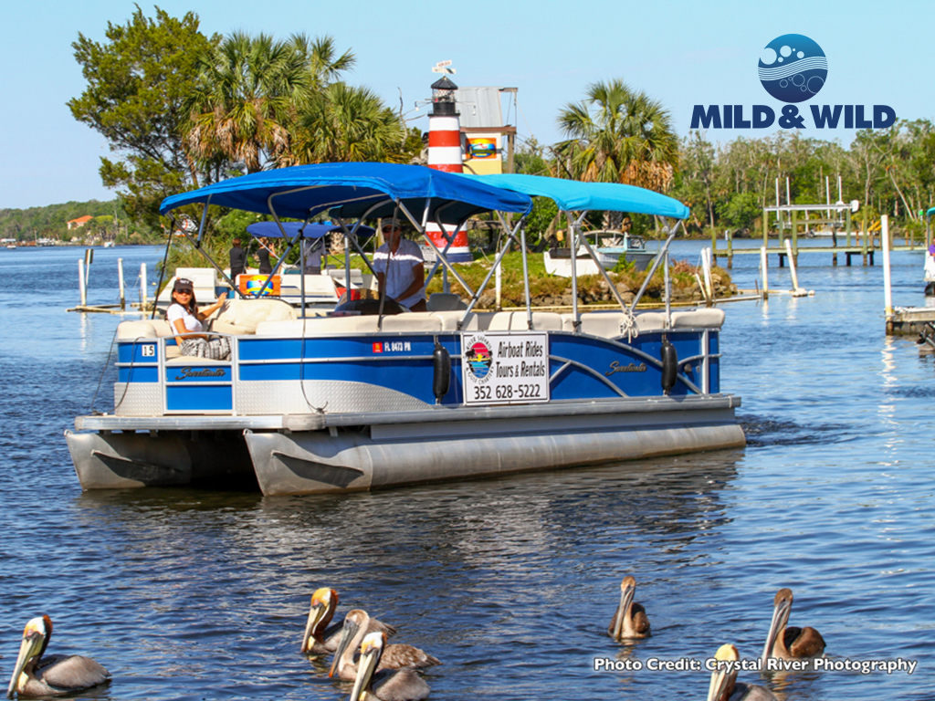 Swim with the Manatees - Touch Down in the TEE-ZONE - Homosassa - River