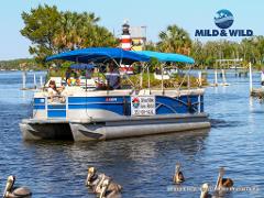 The Gulf Discovery Tour