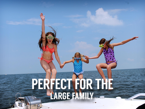 Personal Scallop Picking Party - Private 10 Passenger Vessel - Homosassa