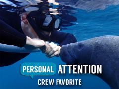 Semi-Private or Private VIP Manatee Tour - Blue Water Deluxe (4 hr Heated) - Homosassa