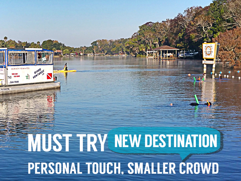 Swim with the Manatees - Touch Down in the TEE-ZONE - Homosassa