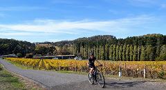 Ride Coast, Wine & Hills – 3 Day E-Bike Tour (Self-Guided)