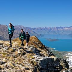Mount Alfred Heli Hike - Private Charter