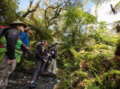 Milford Track Guided Heli-Hike - Private Charter