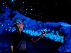 Spellbound Glowworm and Cave tour