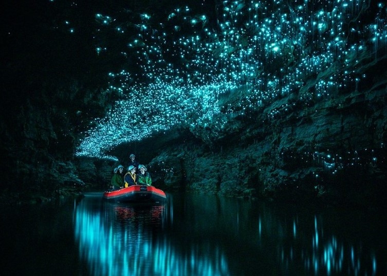 Spellbound Glowworm and Cave Excursion