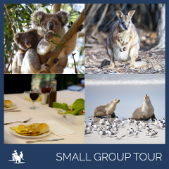 Kangaroo Island Luxury 'Island Life' Full Day Landscape and Wildlife Tour