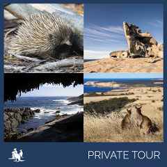 Private Kangaroo Island Luxury 'Flinders Chase Focus' Full Day Landscape & Wildlife Tour